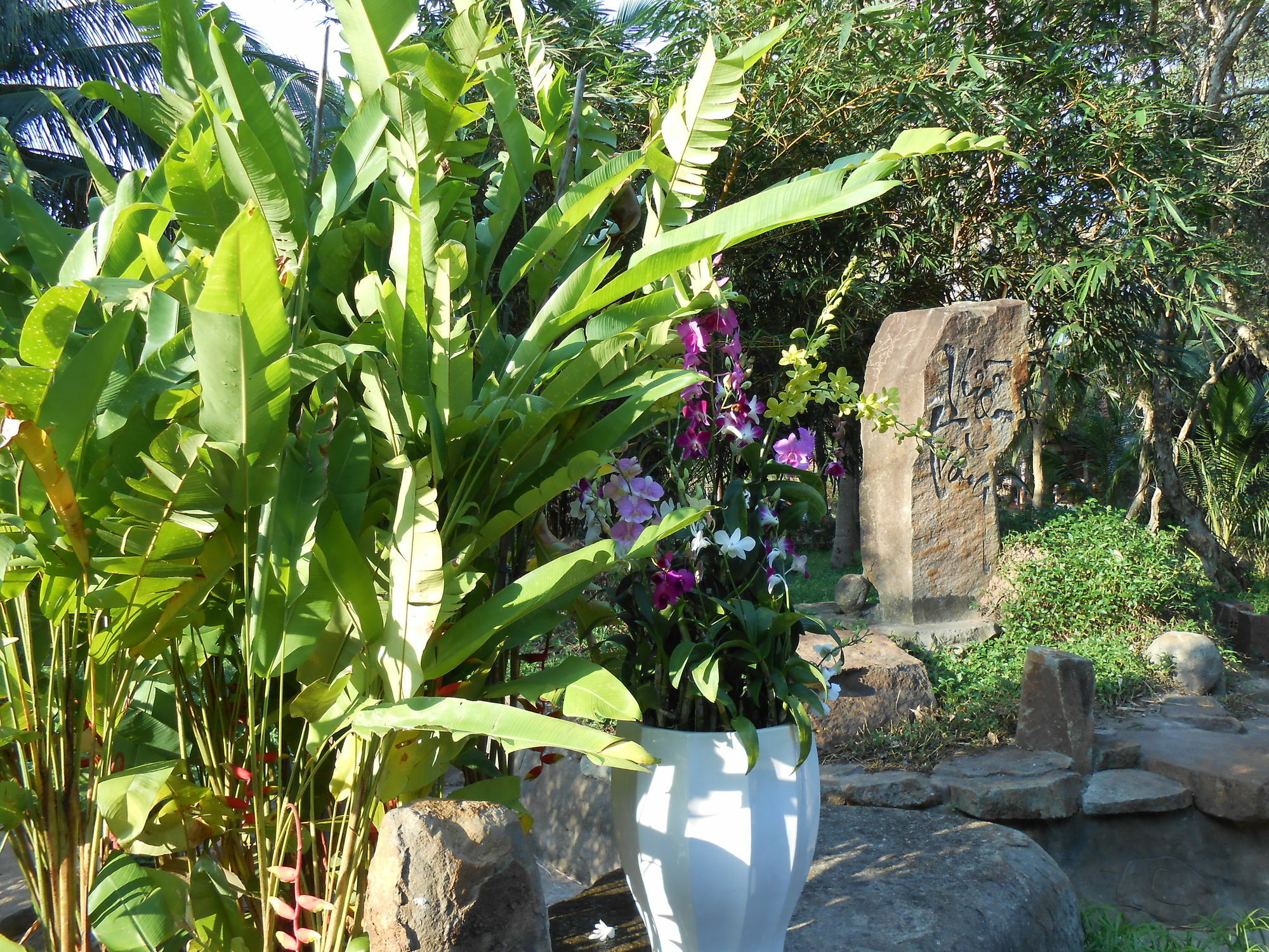 Minera Hot Springs Binh Chau Hotel Exterior foto